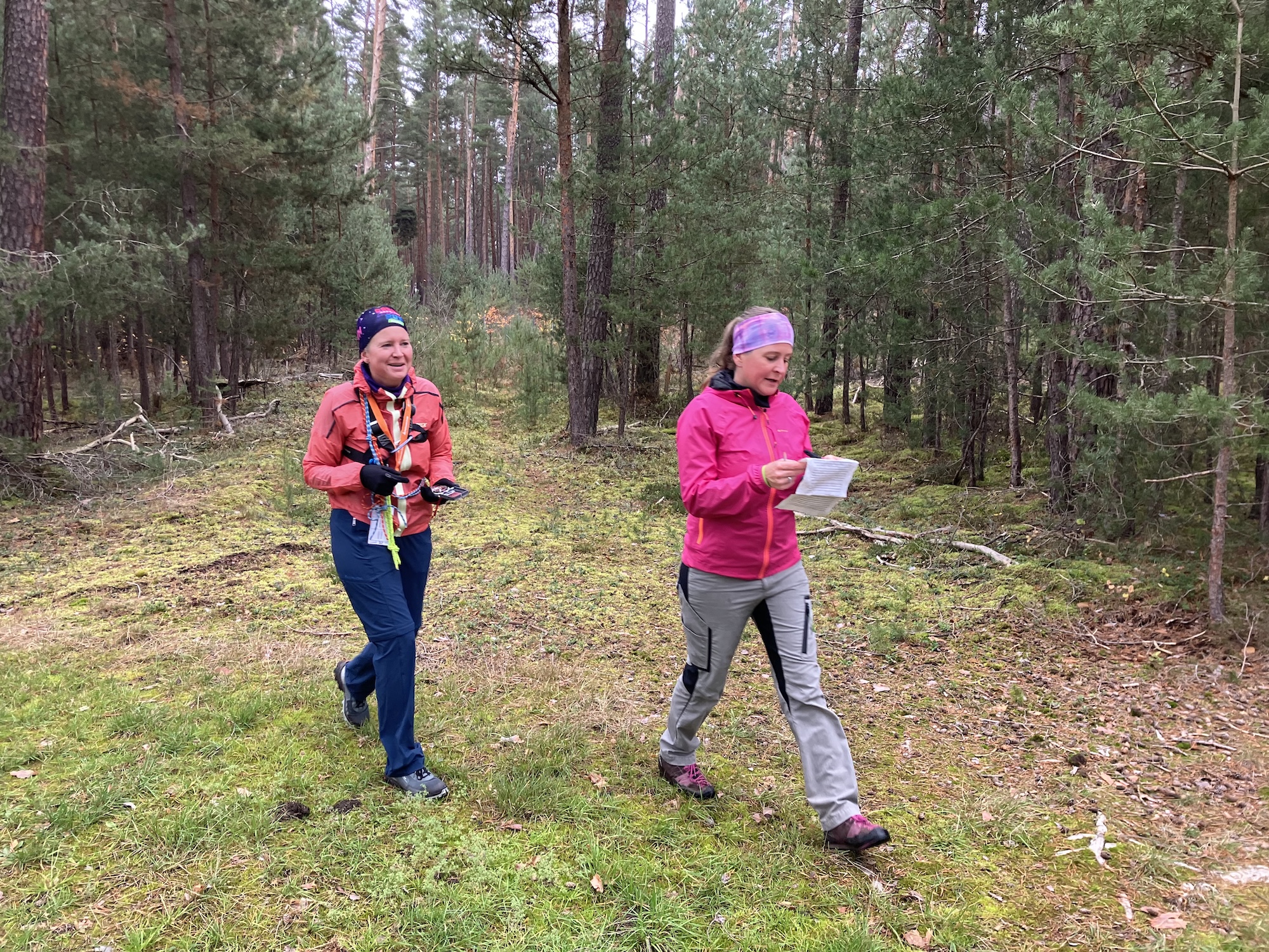 2025 11 Novemberlauf Team im Wald