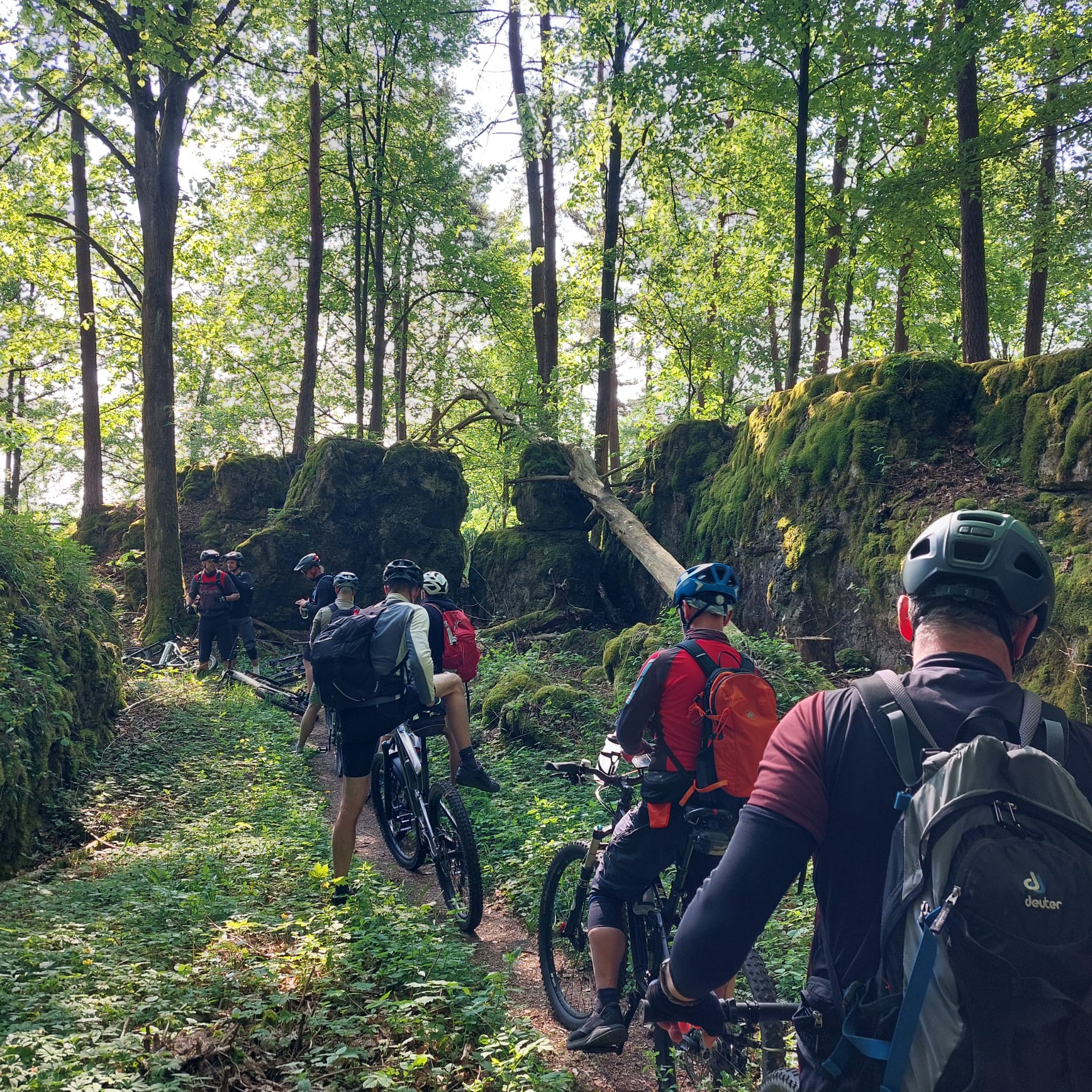 Mountainbike WE Fraenkische 6